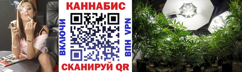 Бошки марихуана OG Kush  кракен ССЫЛКА  Раменское 